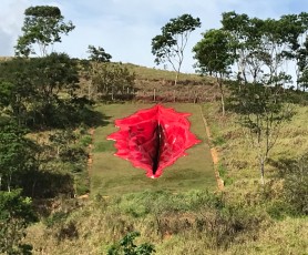 FOTO // Un vagin uriaș a pornit un război cultural în Brazilia